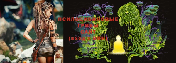 МДПВ Богданович