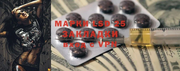 ECSTASY Богородицк