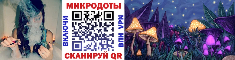 Галлюциногенные грибы MAGIC MUSHROOMS  купить  сайты  KRAKEN tor  Дагестанские Огни 